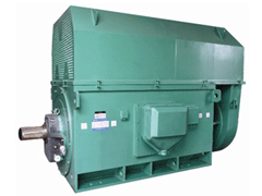 YKS4503-4Y系列6KV高压电机